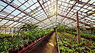 4 Great Tips for a Healthier Greenhouse