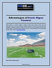 Advantages of Sonic Algae Control