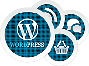 Wordpress developer | Hire Wordpress Developer | Wordpress Designer