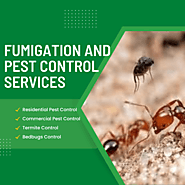 Expert-Approved Fumigation Pest Control Services in Kenya.