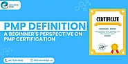 PMP Definition: A Beginner's Perspective on PMP Certification