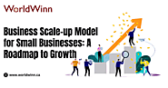 Business Scale-up Model for Small Businesses: A Roadmap to Growth
