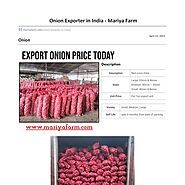 Onion Manufacturers in India Mariya Farm