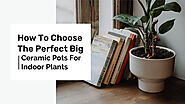 How To Choose The Perfect Big Ceramic Pots For Indoor Plants – Green Carpet