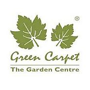 Outdoor Planters In Bangalore | Green Carpet