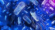 Superbugs: Antibiotic Resistance & The Effects on Modern Healthcare