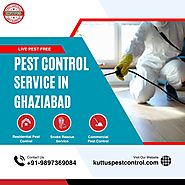 Best Pest Control Service in Ghaziabad by Kuttus Pest Control