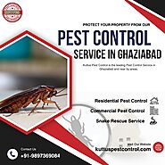 Pest Control Service in Ghaziabad by Kuttus Pest Control