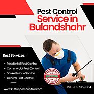 Pest Control Service in Bulandshahr by Kuttus Pest Control