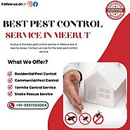 Best Pest Control Service in Meerut