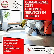 Commercial Pest Control Service in Meerut by Kuttus Pest Control