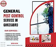 General Pest Control Service in Ghaziabad by Kuttus Pest Control