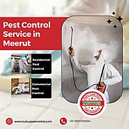 Pest Control Service in Meerut | 919897369084 | Kuttus Pest