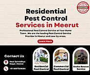 Residential Pest Control Service in Meerut | +91-9897369084