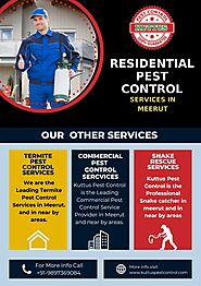 Residential Pest Control Services in Meerut | Kuttus Pest Control