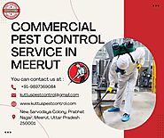 Commercial Pest Control Service in Meerut | +91-9897369084