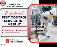 Pest Control Service in Meerut | +91-9897369084