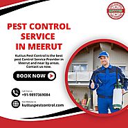 Pest Control Service in Meerut | +91-9897369084 | Kuttus Pest