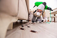 Residential Pest Control Service in Meerut - Kuttus Pest Control