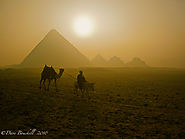 Hire a Camel to see the Pyramids