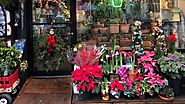 Q florist the Best Flower Stores in New York