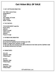 Cat Bill of Sale Form [Kitten] Template Printable [PDF]
