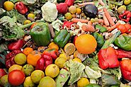 Dewatering for Fruit and Vegetable Waste Management