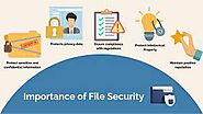 Factors Affecting File Security