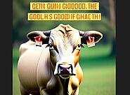 Hi, Ramziyya Saifi!: **Gettin' Real About What's Good for Your Health: No Bull, Just Facts!**