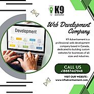 Web Development Company for Your Business