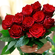 Romantic Red Roses Collection
