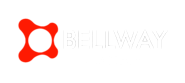 About us - Bellway Infotech