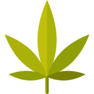 CBD Link Building Cannabis Backlinks | MagFellow