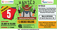Hiring Digital Marketing Executives and Assistant Managers Code and Pixels