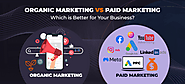 Organic Marketing Vs. Paid Marketing: Which Is Better For Your Business?