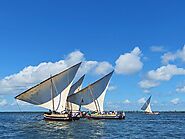 Dhow race