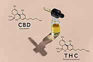 CBD vs. THC: What's the Difference? » Dailygram ... The Business Network