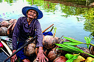 Tha Kha Floating Market Bangkok