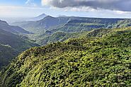 Black River Gorges National Park