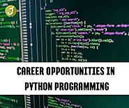 Python Programming Career Paths