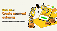 White Label Crypto Payment Gateway — Budget-Friendly Solution for Crypto Payment Gateway…