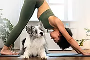 Puppy Yoga Near Me: Puppy Yoga Delhi NCR: A Fun and Healthy Way to Bond with Your Furry Friend | Puppiezo