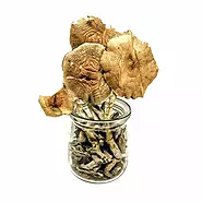 Buy African Transkei Mushrooms Online , African Transkei