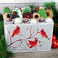 Holiday Cardinal Box | Christmas Special | Seattle
