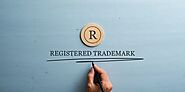 Demystifying the Questions on a Trademark Application