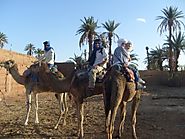 Camel Trekking in the Sahara Desert
