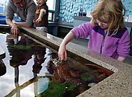 Shaw Ocean Discovery Centre