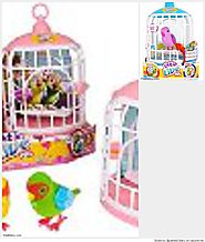 Little Live Bird Cage Review
