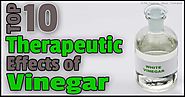 Functional Health Properties and Uses of Vinegar