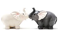 Ceramic Elephant Salt and Pepper Shakers: Great Gift Idea